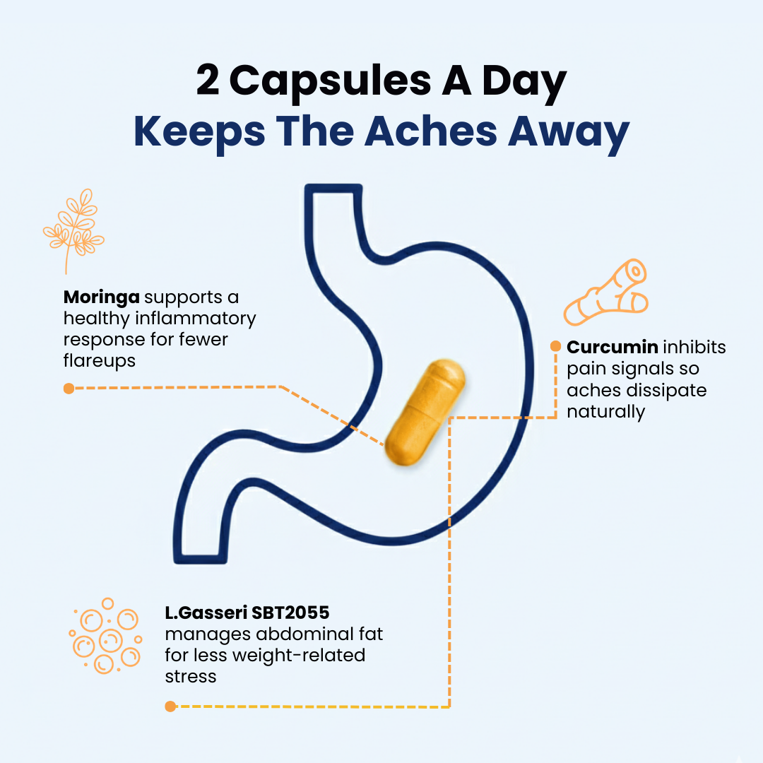 Provitalize | Best Natural Menopause Probiotic